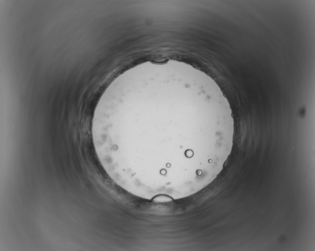 X0000116330236200912221426