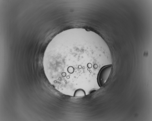 X0000116330240200912221426