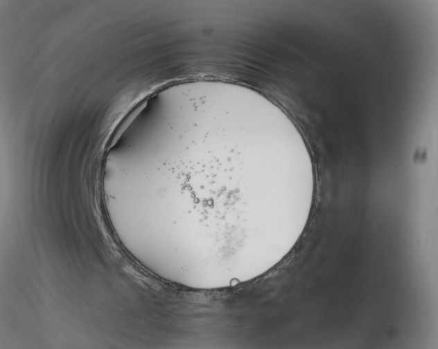 X0000116330241200912221426