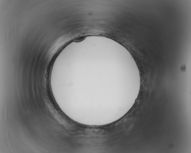 X0000116330242200912221426