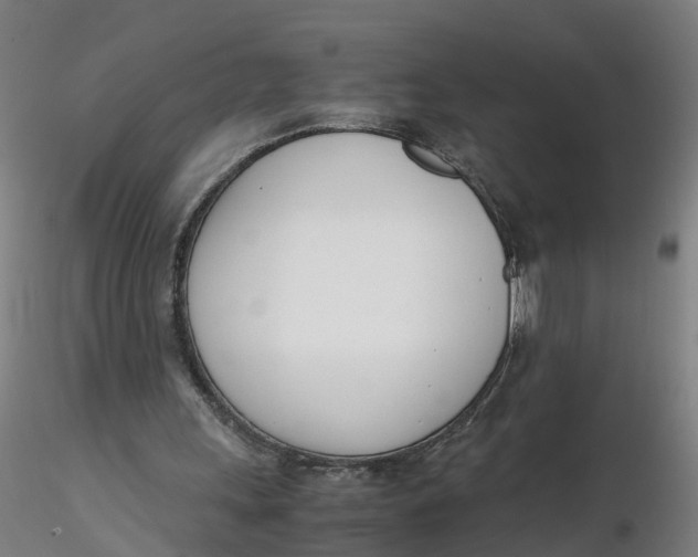 X0000116330243200912221426