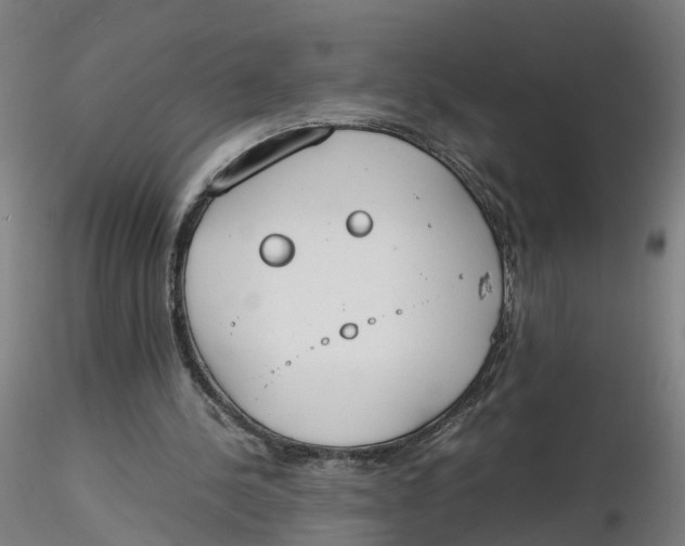 X0000116330244200912221426