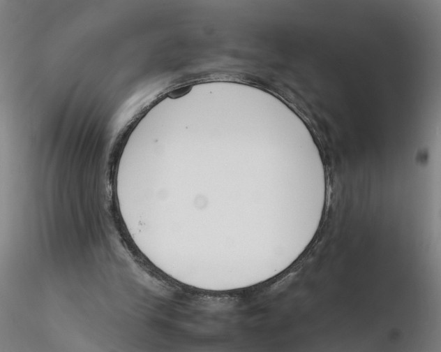 X0000116330245200912221426