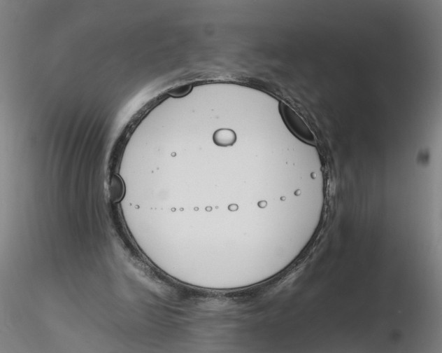 X0000116330246200912221426