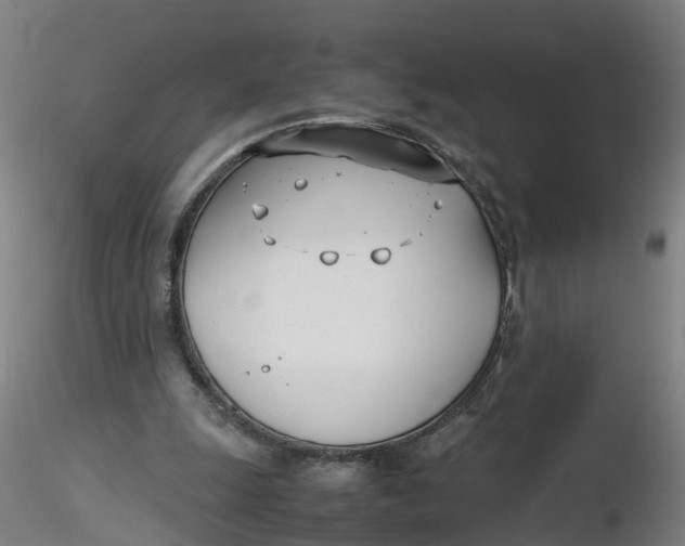 X0000116330247200912221426