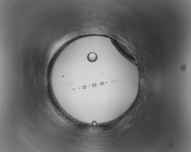 X0000116330248200912221426