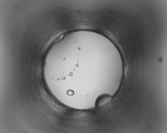 X0000116330249200912221426