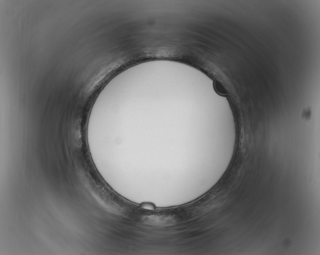 X0000116330251200912221426