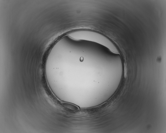 X0000116330252200912221426