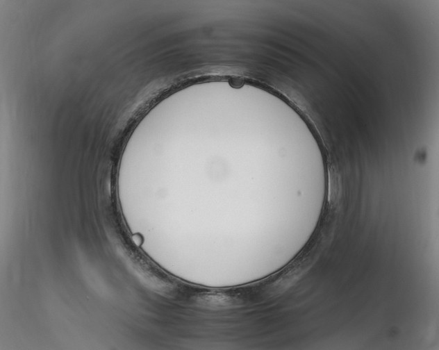 X0000116330253200912221426