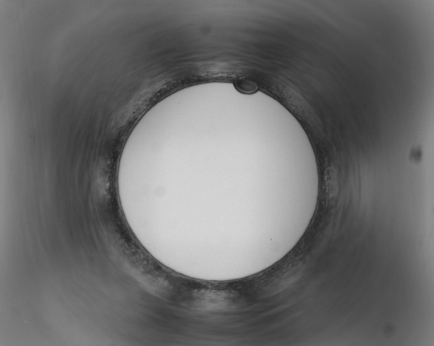 X0000116330255200912221426