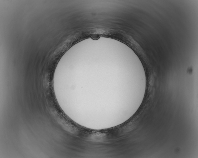 X0000116330257200912221426