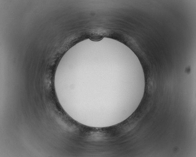 X0000116330259200912221426