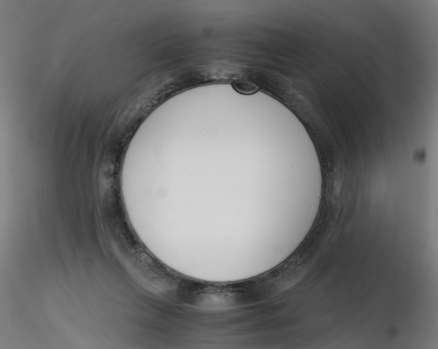 X0000116330263200912221426