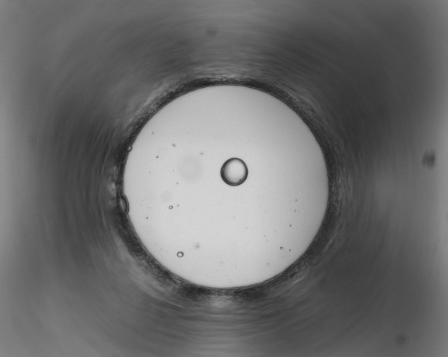 X0000116330264200912221426