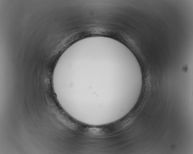 X0000116330265200912221426