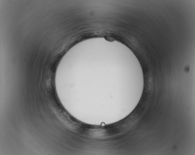 X0000116330266200912221426