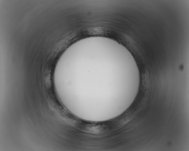 X0000116330267200912221426