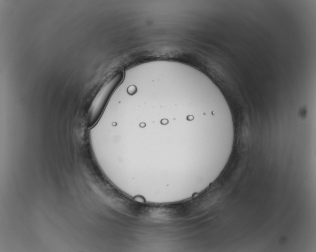 X0000116330268200912221426