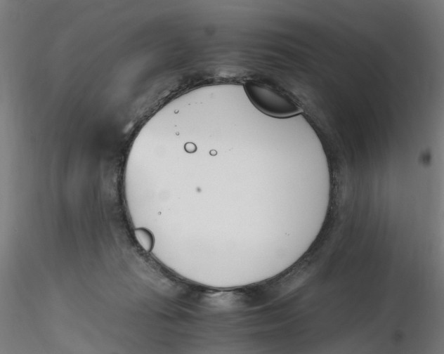 X0000116330269200912221426