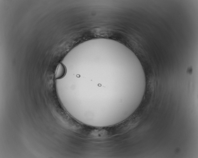 X0000116330271200912221426