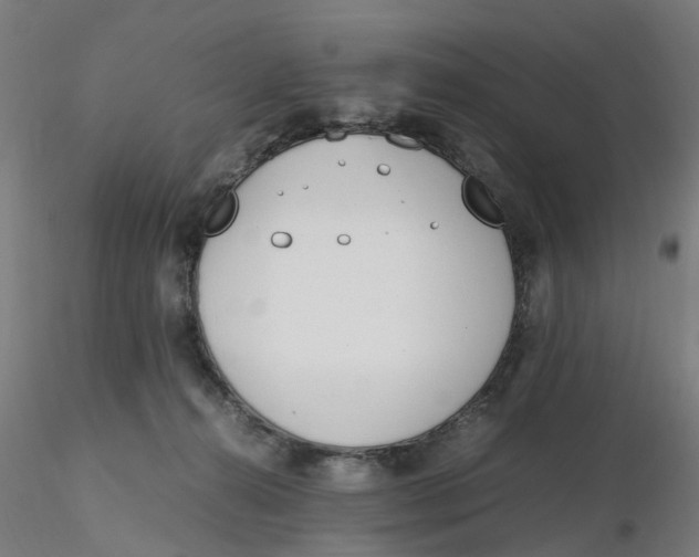 X0000116330272200912221426