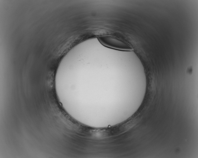 X0000116330273200912221426