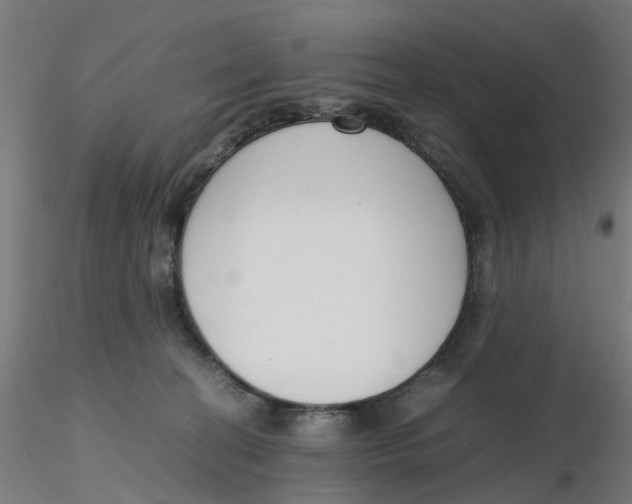 X0000116330274200912221426