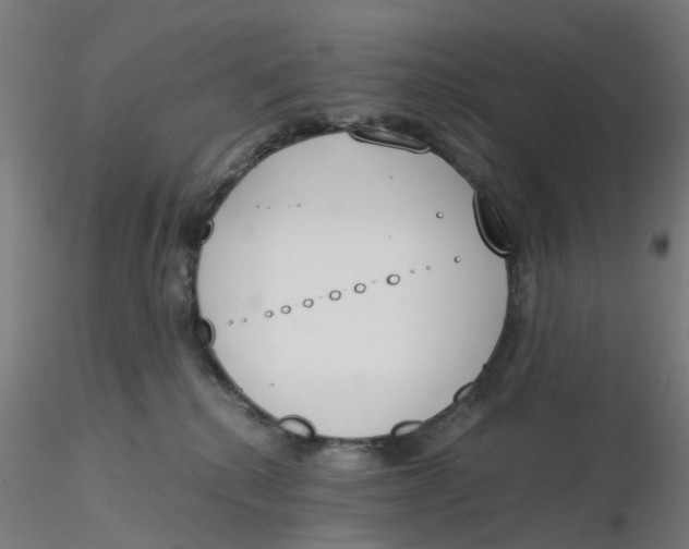 X0000116330280200912221426