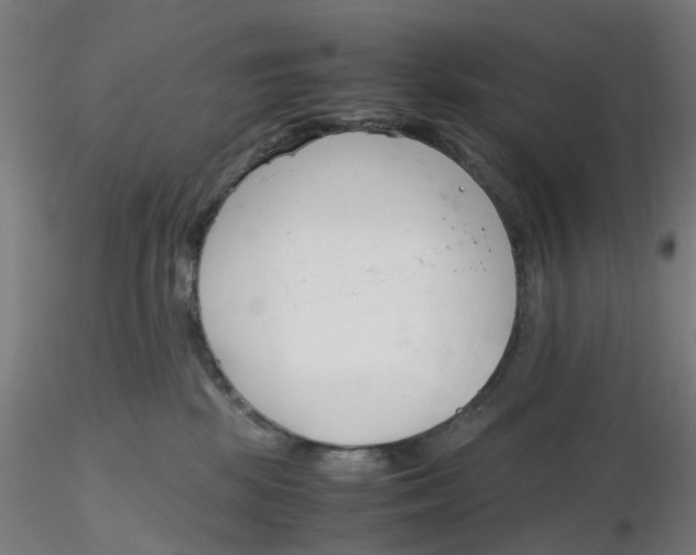 X0000116330281200912221426