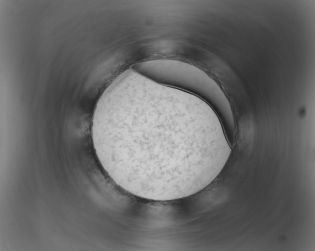 X0000116330284200912221426