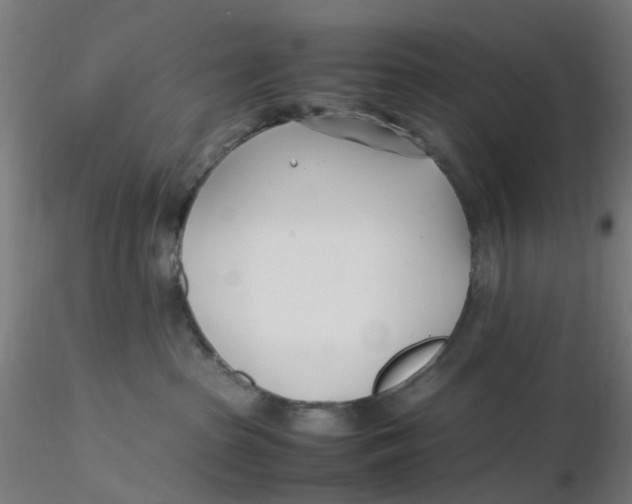 X0000116330285200912221426