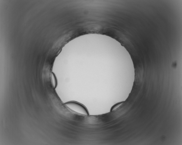 X0000116330287200912221426