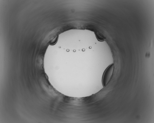 X0000116330288200912221426