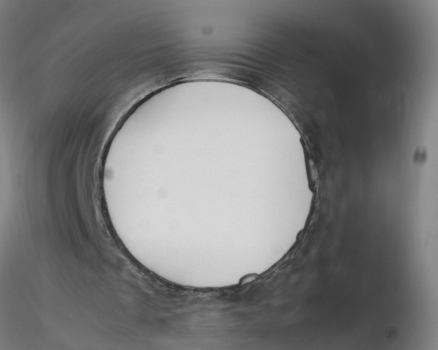 X0000116330289200912221426