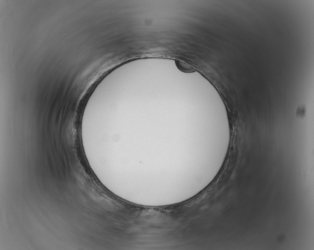 X0000116330290200912221426