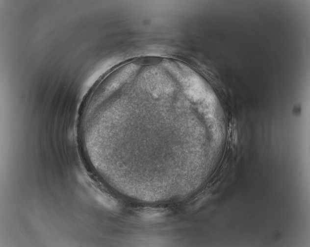 X0000116330292200912221426