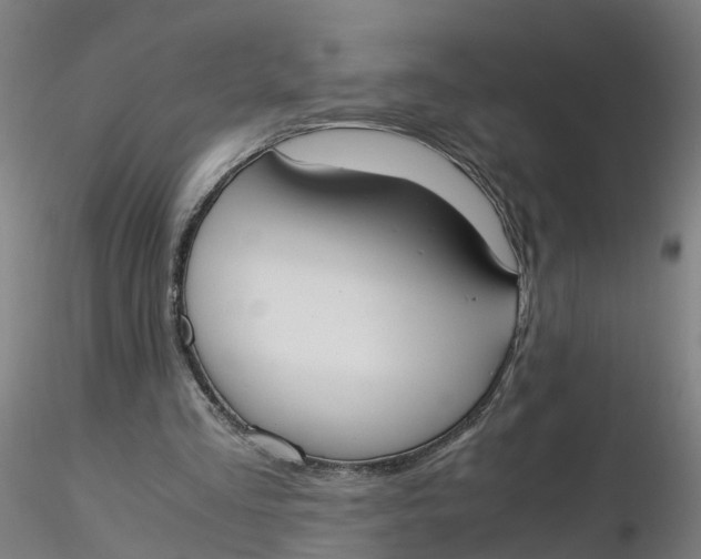 X0000116330293200912221426