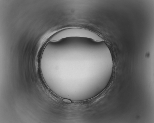 X0000116330294200912221426