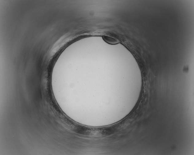 X0000116330295200912221426