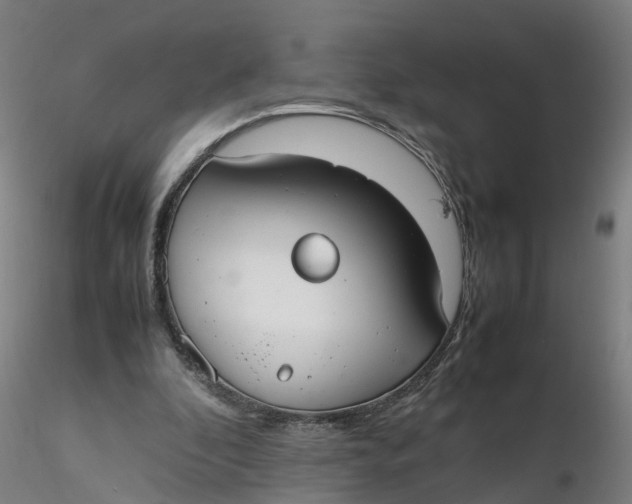 X0000116330296200912221425