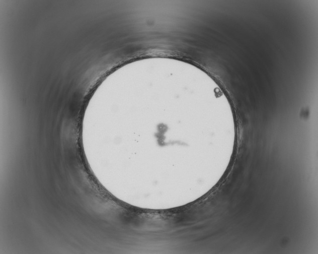 X0000116330297200912221425