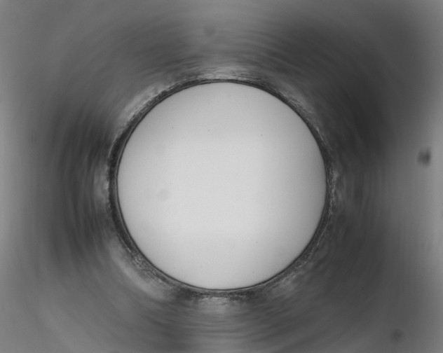 X0000116330298200912221425