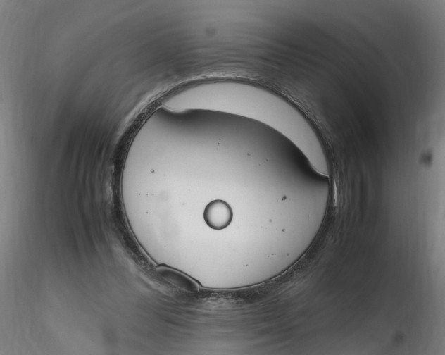 X0000116330300200912221425