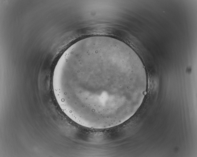 X0000116330301200912221425