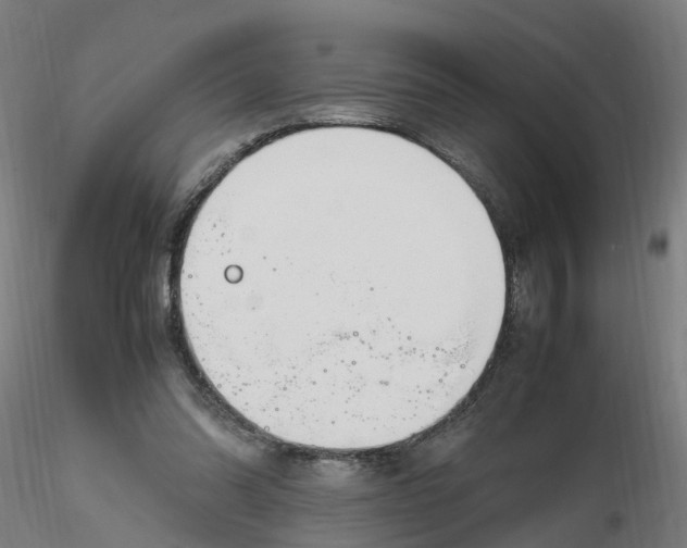 X0000116330302200912221425