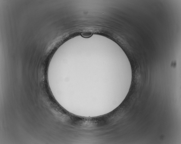 X0000116330303200912221425