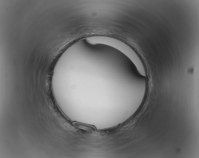 X0000116330305200912221425