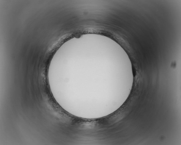 X0000116330306200912221425