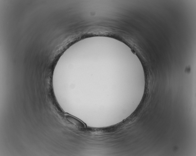 X0000116330309200912221425